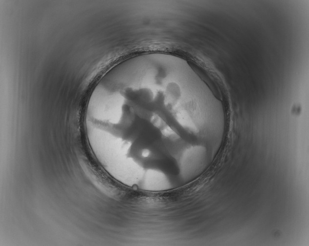 X0000114700250200911121546