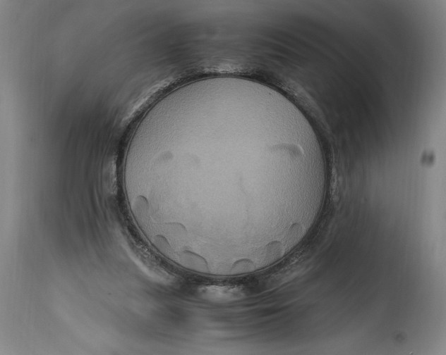 X0000114700251200911121546