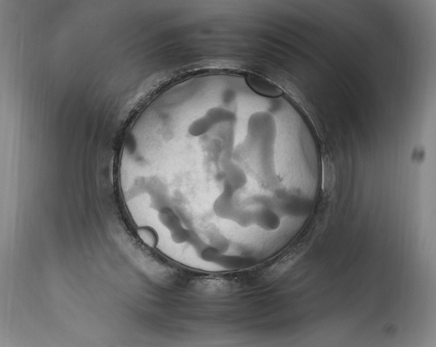 X0000114700253200911121546