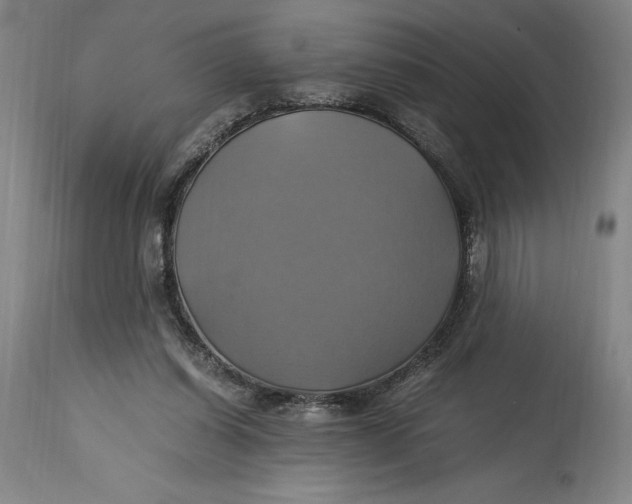 X0000114700254200911121546