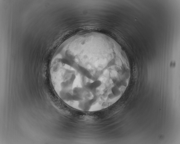 X0000114700255200911121546