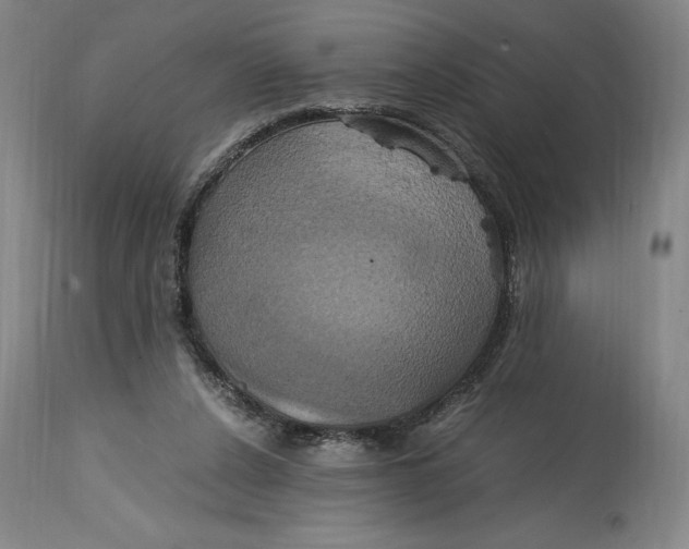 X0000114700256200911121546