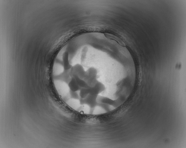 X0000114700258200911121546