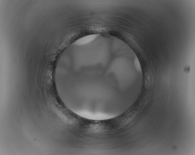 X0000114700259200911121546