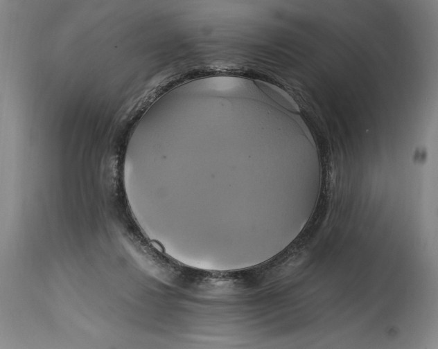 X0000114700260200911121546