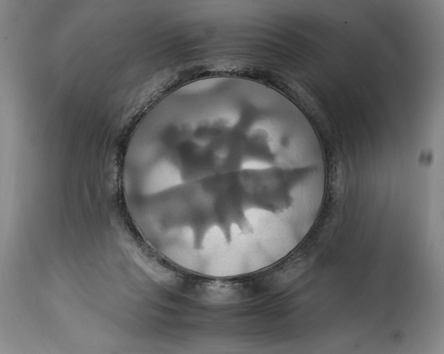 X0000114700261200911121546