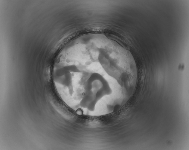 X0000114700262200911121546