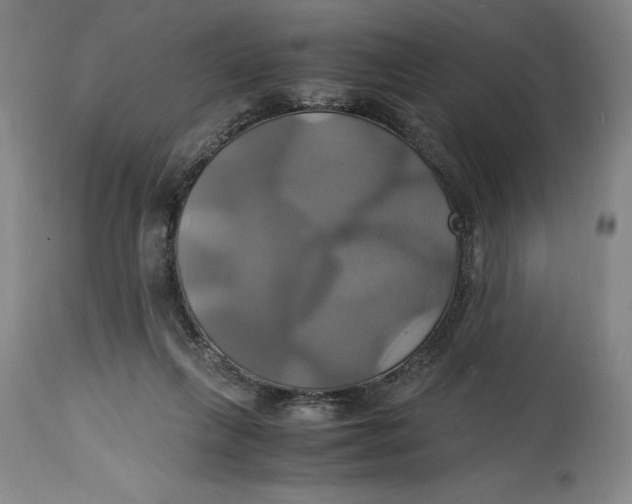 X0000114700263200911121546