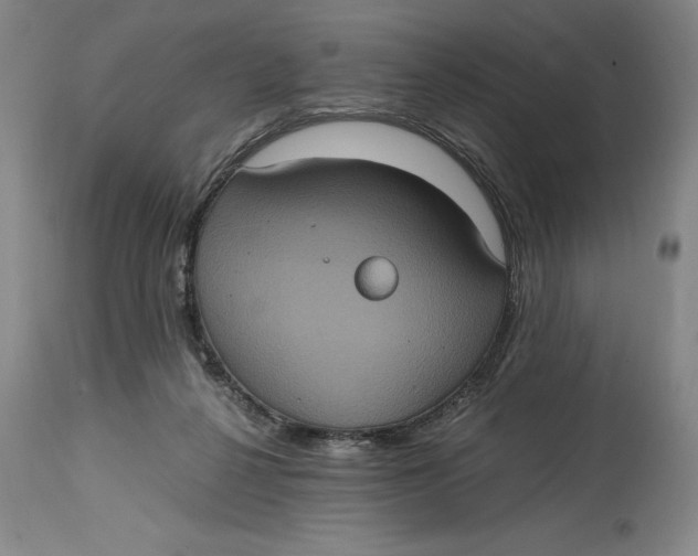 X0000114700264200911121546