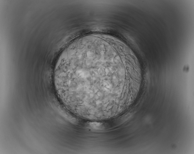 X0000114700265200911121546