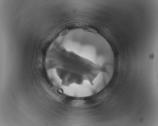 X0000114700266200911121546