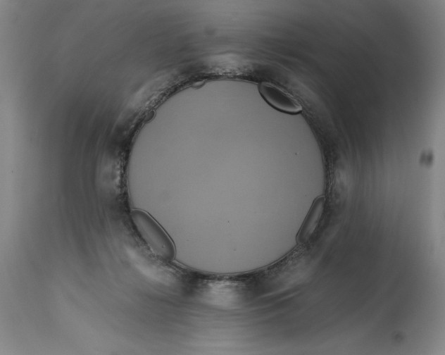 X0000114700268200911121547