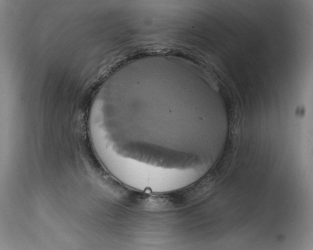 X0000114700270200911121547