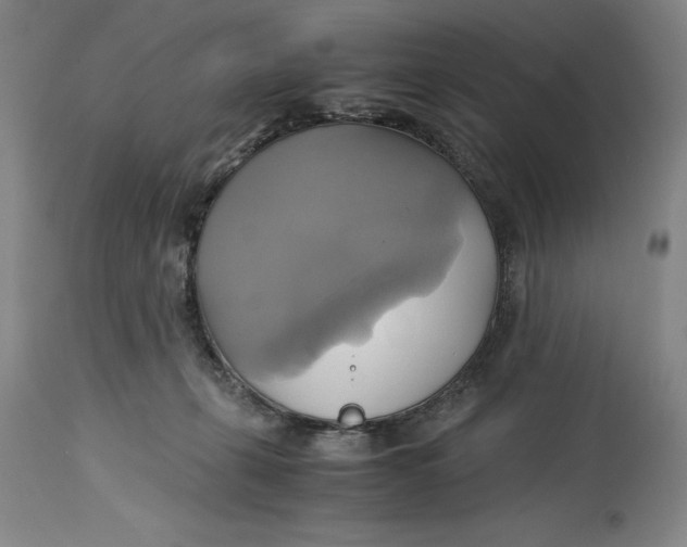 X0000114700271200911121547