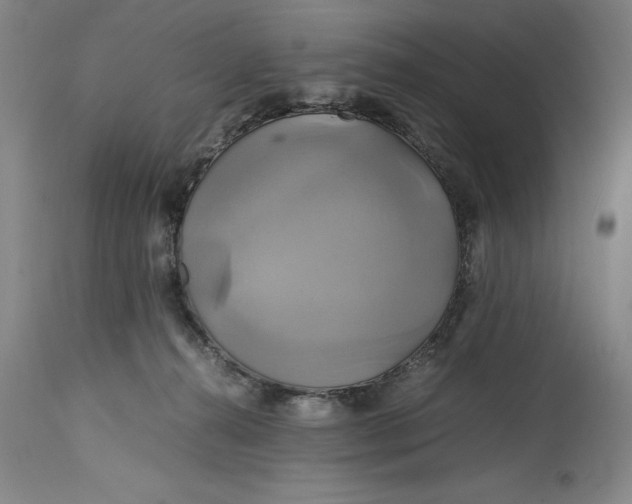 X0000114700272200911121547