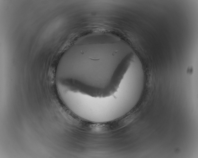 X0000114700273200911121547