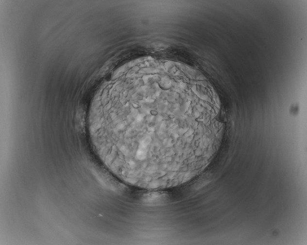 X0000114700274200911121547