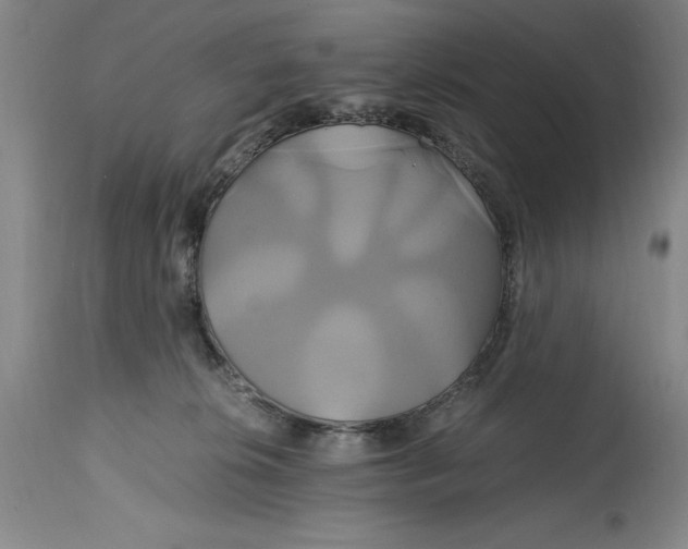 X0000114700276200911121547