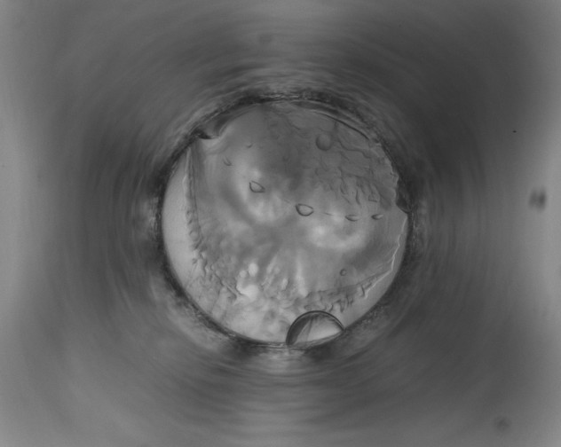 X0000114700278200911121547