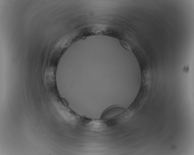 X0000114700280200911121547