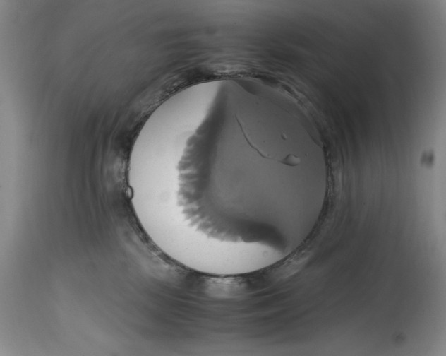 X0000114700281200911121547