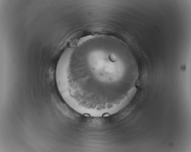 X0000114700282200911121547