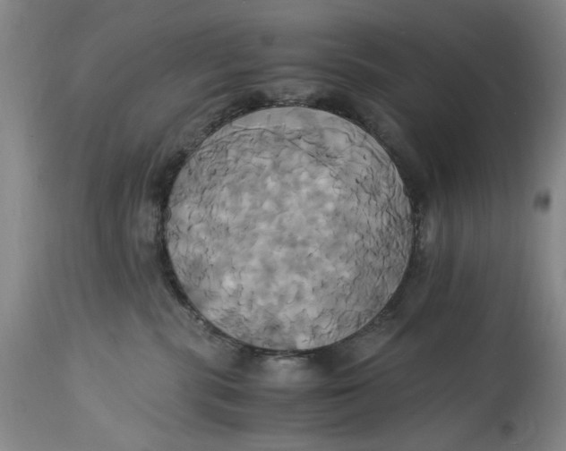 X0000114700283200911121547