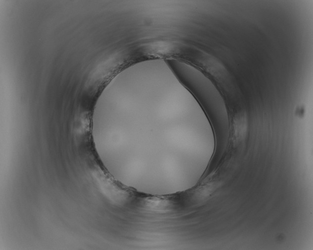 X0000114700284200911121547