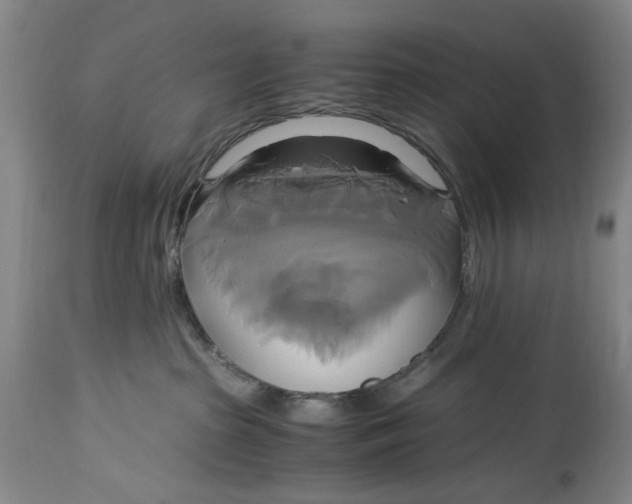 X0000114700285200911121547