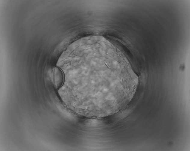 X0000114700286200911121547