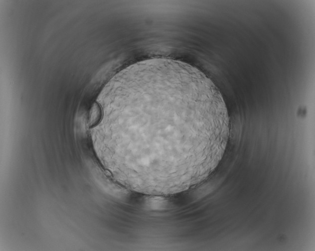 X0000114700287200911121547