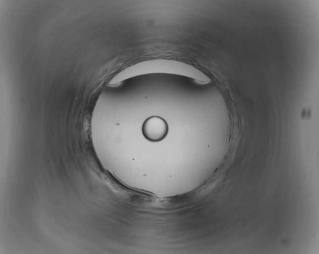 X0000114700288200911121547