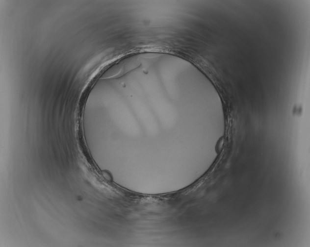 X0000114700290200911121546