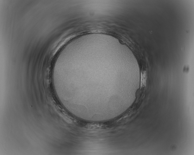 X0000114700291200911121546