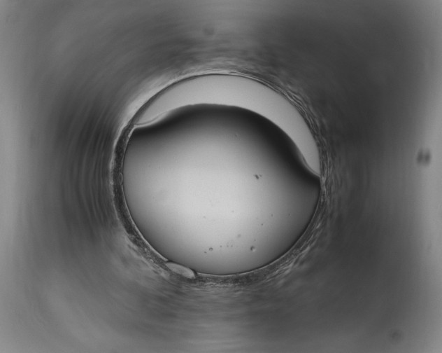 X0000114700292200911121546