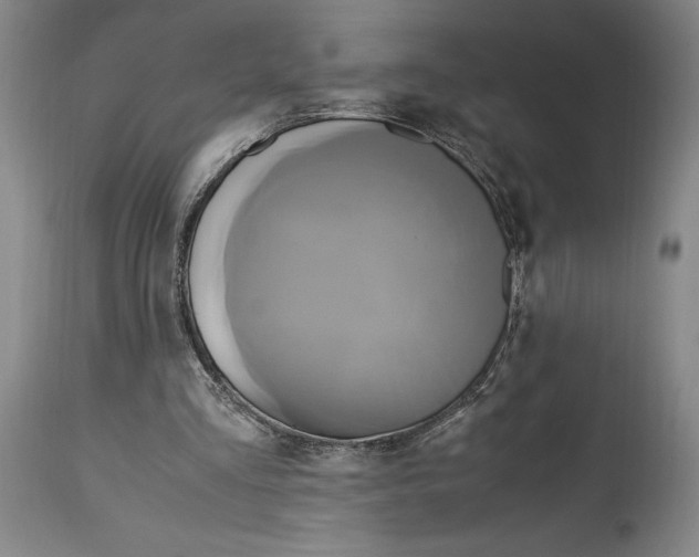 X0000114700293200911121546