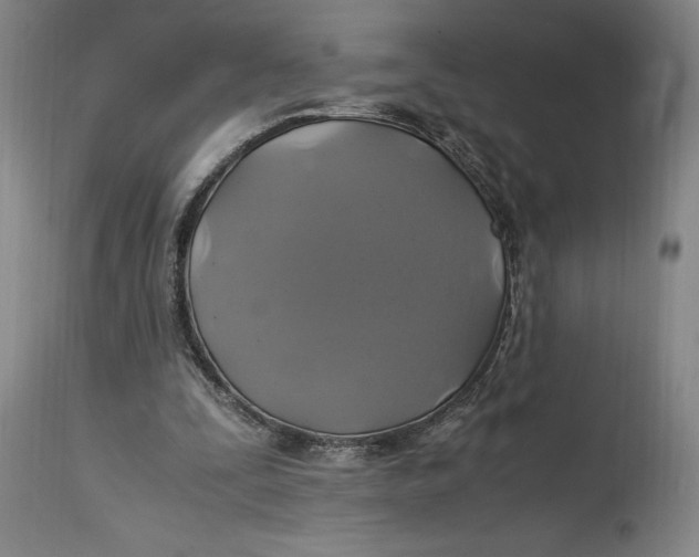 X0000114700295200911121546