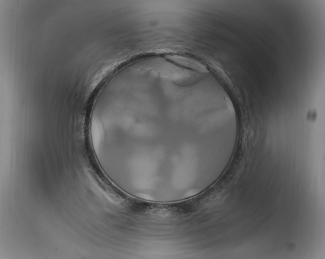 X0000114700299200911121546