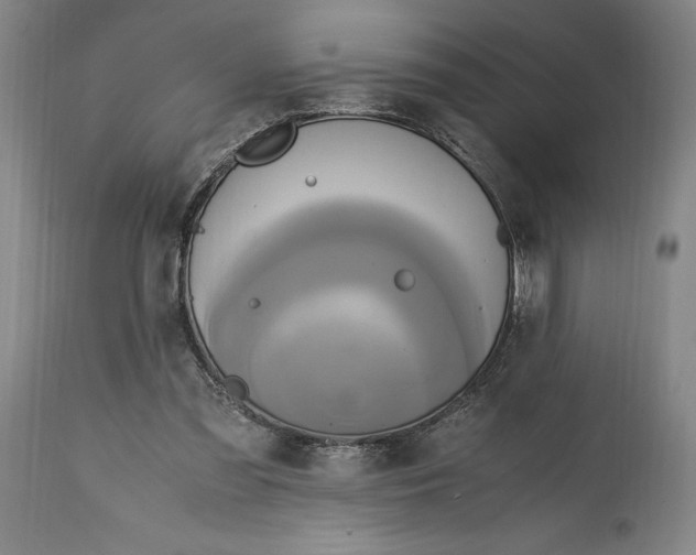 X0000114700301200911121546