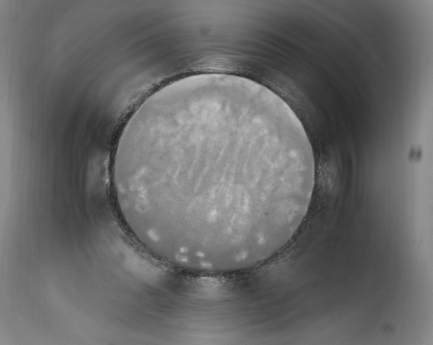 X0000114700302200911121546