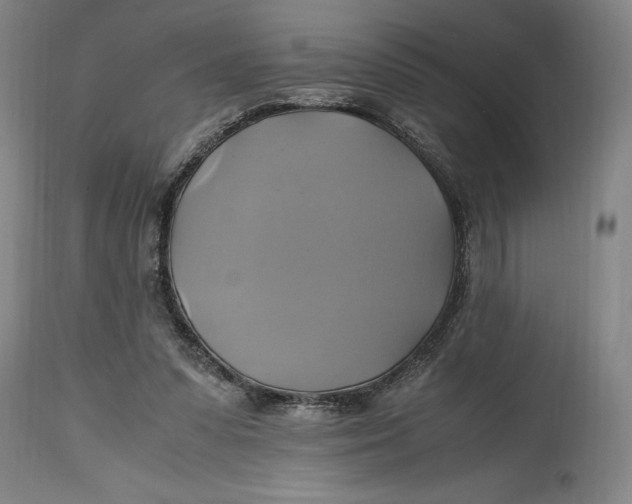 X0000114700303200911121546