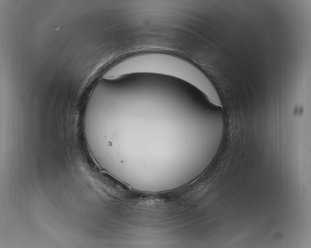 X0000114700304200911121546