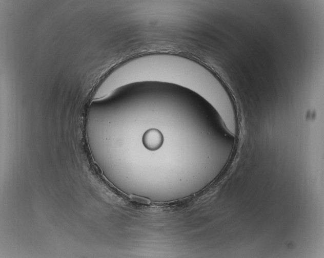 X0000114700305200911121546