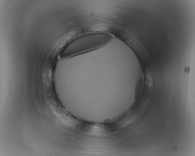 X0000114700308200911121546