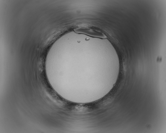 X0000114700311200911121546