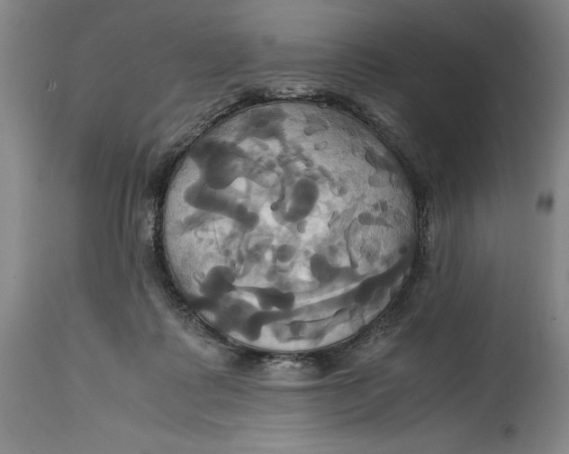 X0000114700315200911121546