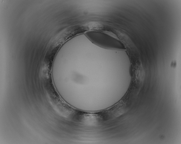 X0000114700316200911121546