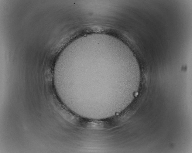 X0000114700317200911121546