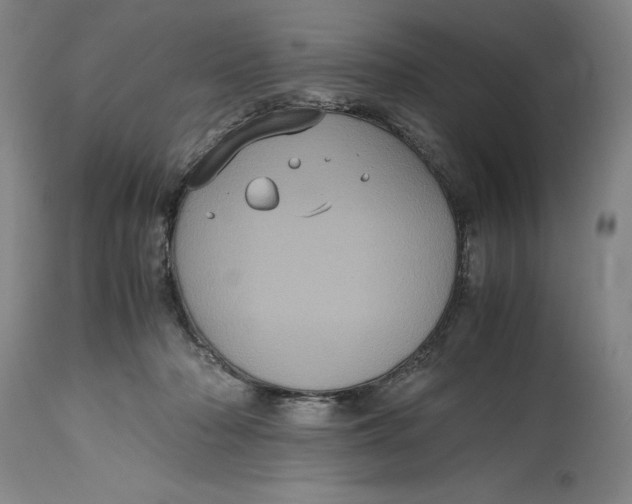 X0000114700318200911121546