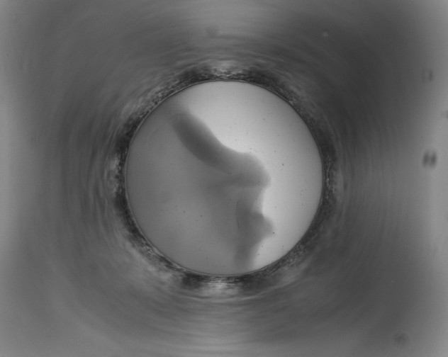 X0000114700319200911121546